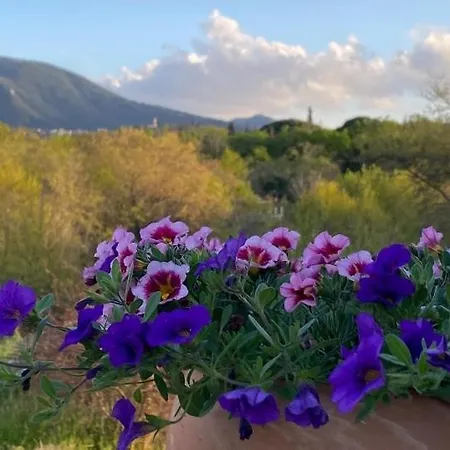 Casa Luna D'argento Corfu * Viros